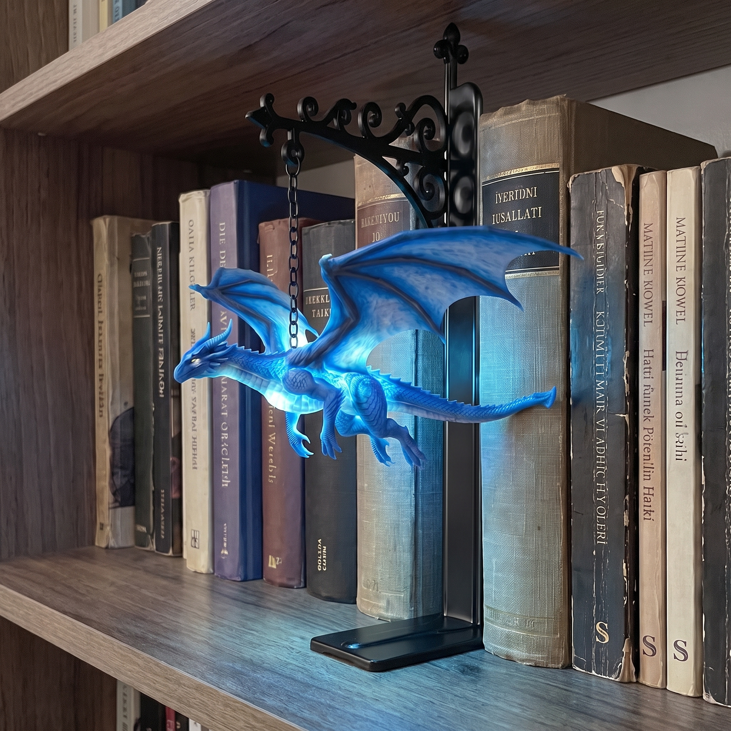 Wyrmlight - Dragon Book Nook